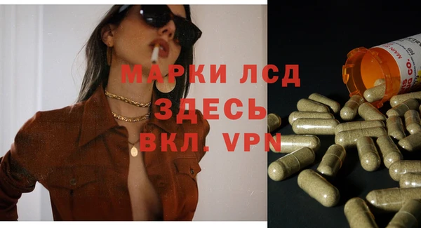 ГАЛЛЮЦИНОГЕННЫЕ ГРИБЫ Белоозёрский