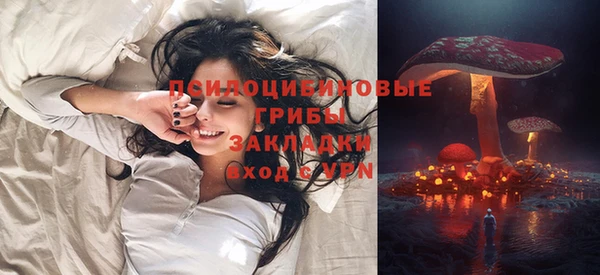 ГАЛЛЮЦИНОГЕННЫЕ ГРИБЫ Белоозёрский