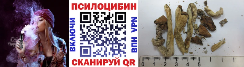 Галлюциногенные грибы Psilocybine cubensis Волоколамск